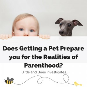 Birds and Bees Prenatal Classes talks about pets and parenthood