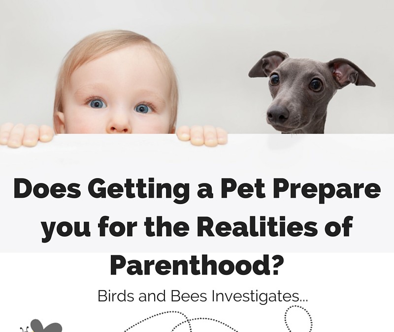 Will a Pet Prepare you for Parenthood?